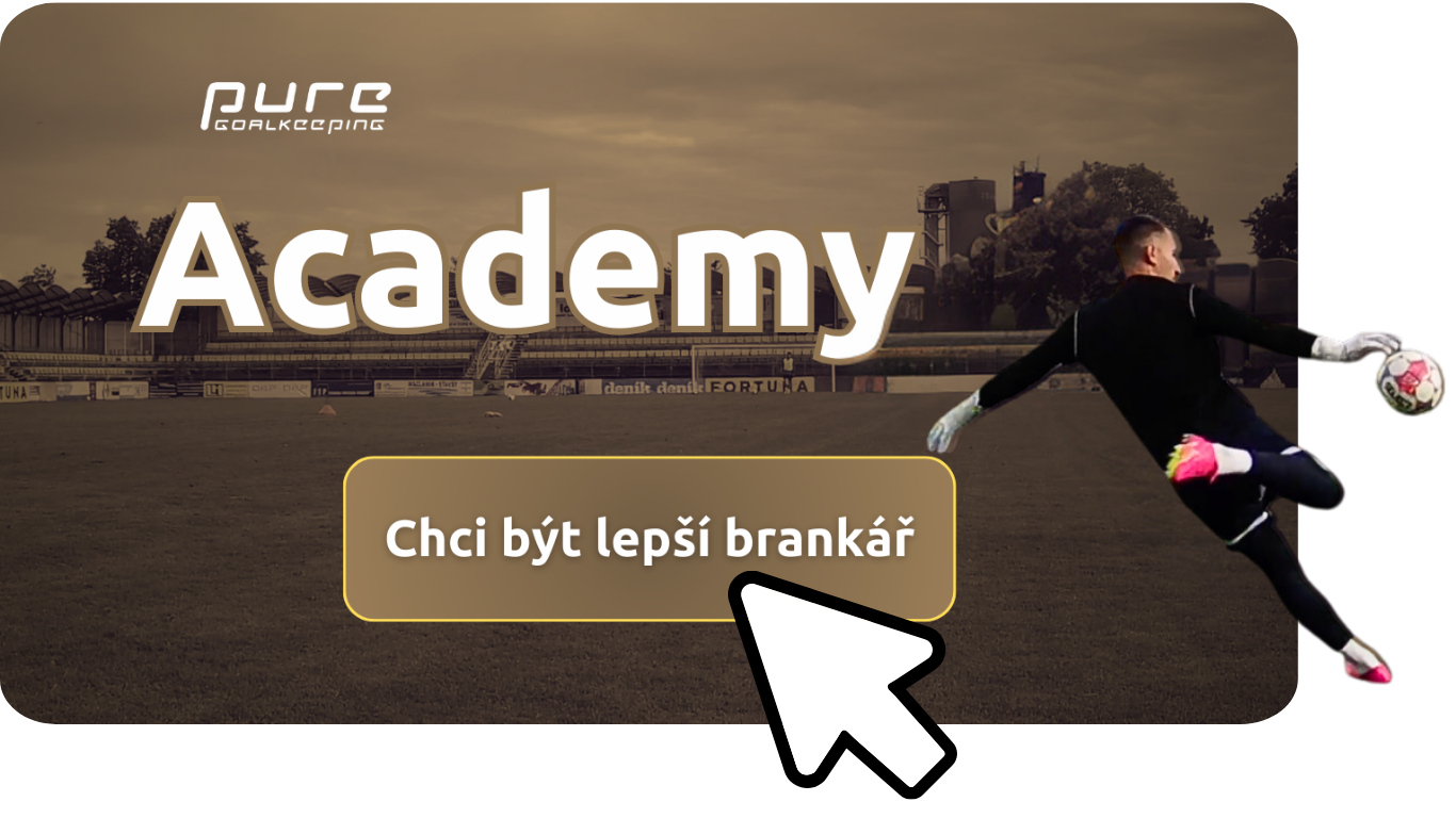 academy odkaz